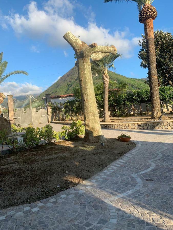 Villa Lucia Terrazza Panoramica Castellammare di Stabia Exterior foto